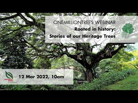 NParks OneMillionTrees Webinar | Rooted In History: Stories Of Our Heritage Trees