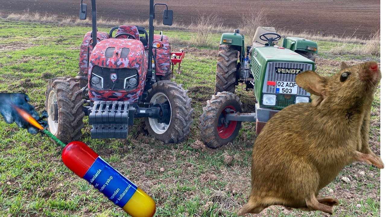 TARLA FARELERİ İLE MÜCADELE EDİYORUZ🚜  (TORPİLLİ SAVAŞ AÇTIK💣😂)
