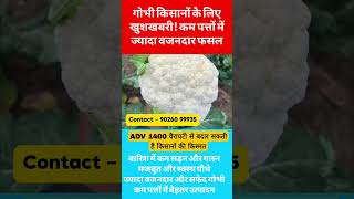 ADV 1400 वैरायटी #gobhi