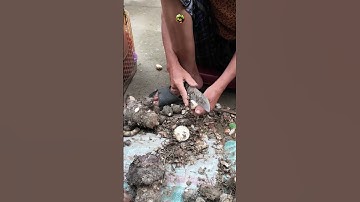 Peeling taro at the market | Vietnamese Country Market  #explorethemarket  #food  #market