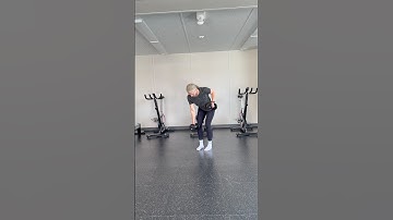 Bent Over Dumbbell Row with Isometric Hold