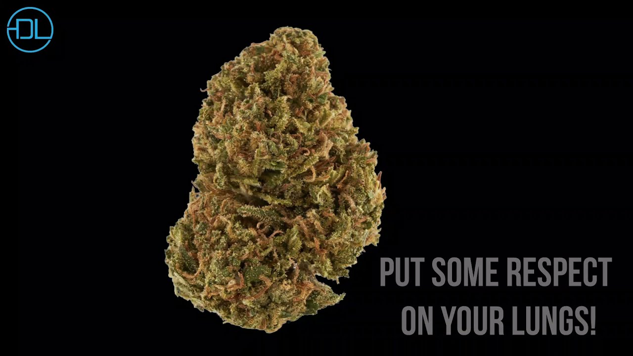 Immortal - Craft Organic CBD Hemp Flower | Dreamland Organics