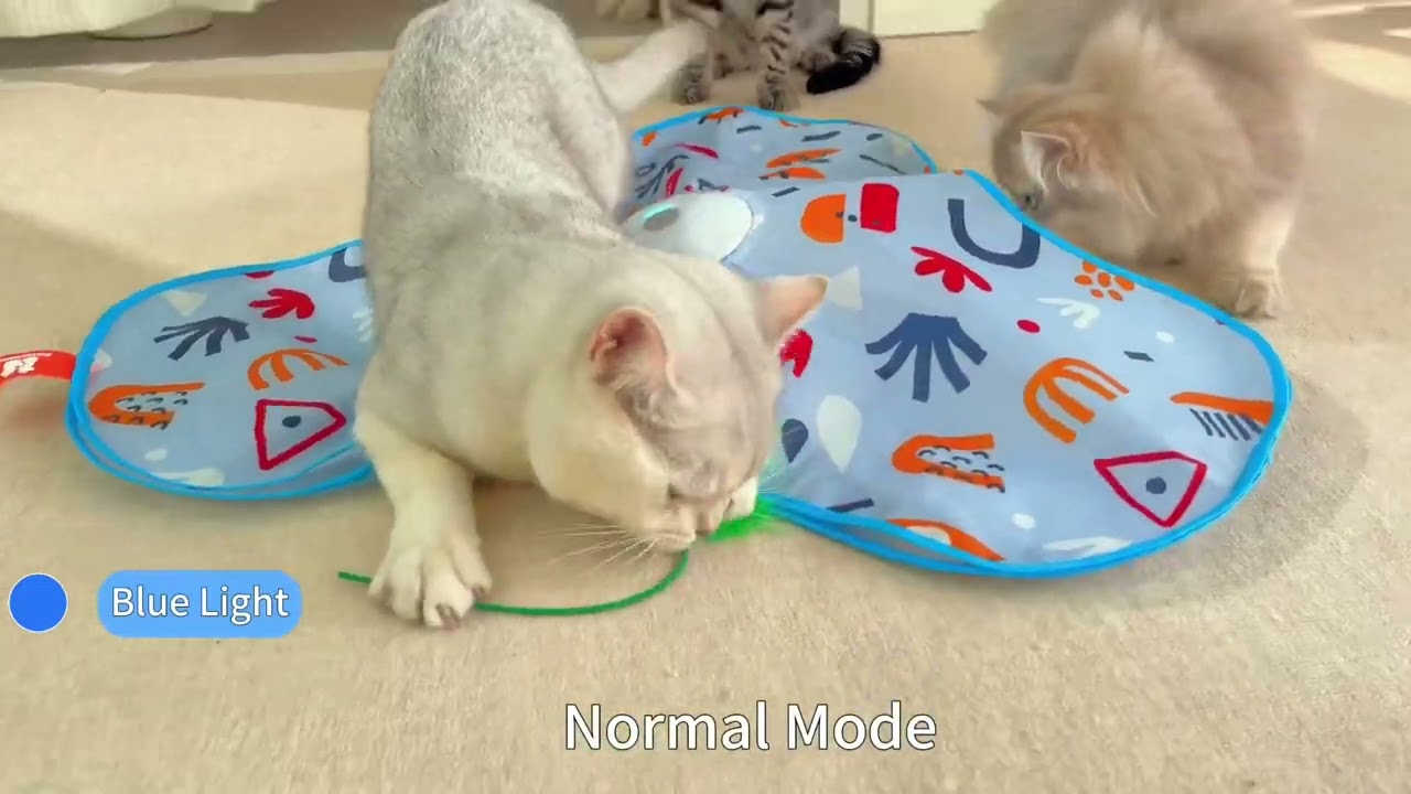 Potaroma Kattenspeelgoed oplaadbaar, 3-in-1 verstoppertje voor kittens, interactief automatisch spelen, fladderende vlinder, bewegende toverstokveer, indoor poefening 50 cm hoes voor alle rassen