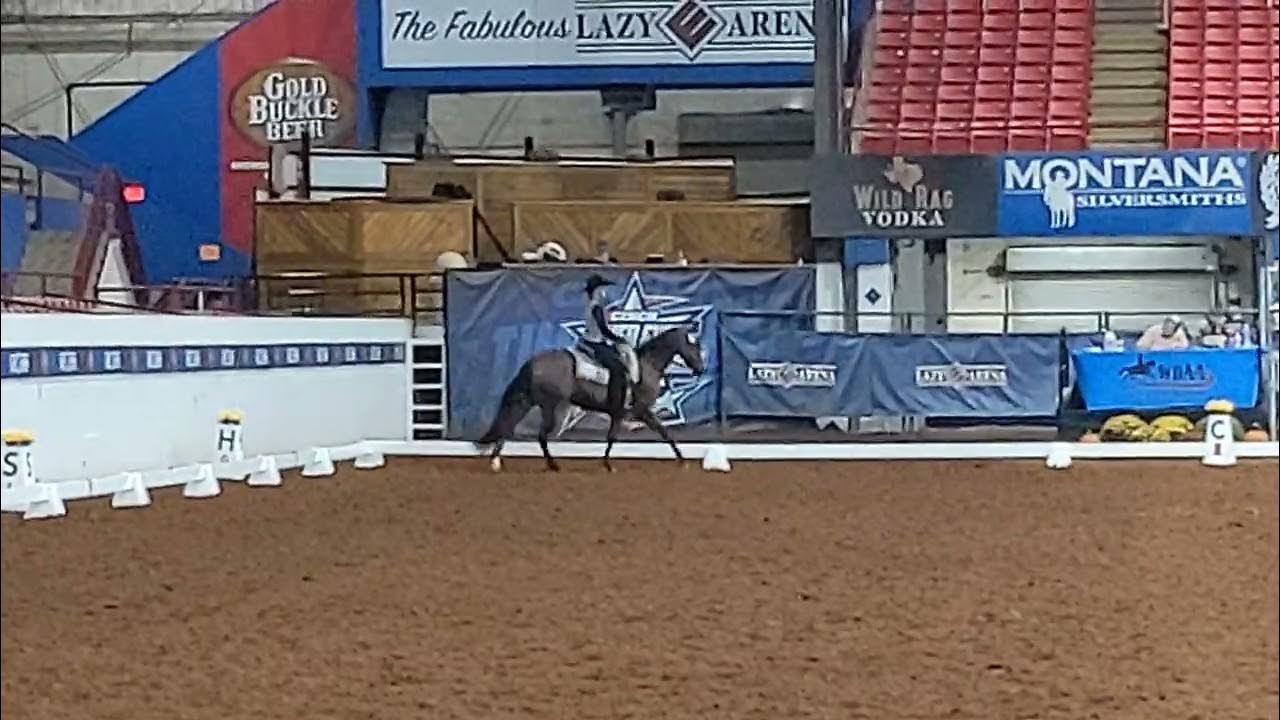 WDAA World Championship Show 2022 Level 2 Test 3 YouTube