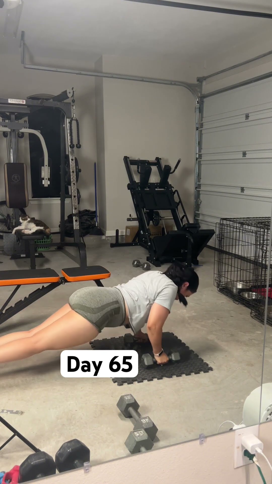Day 65 #shortsvideo #shorts - YouTube