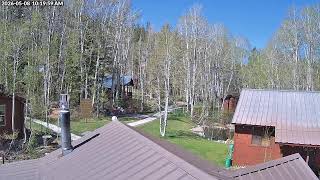 Live Leaf Cam - Desolation Hotel Hope Valley