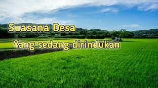 Morning Atmosphere in a Beautiful Village, Makes Missing | Accompanied by Sundanese flute