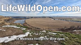 Beautiful Montana and My American Akita (A Tour) by Life Wild Open ® 100 views 6 months ago 3 minutes, 29 seconds