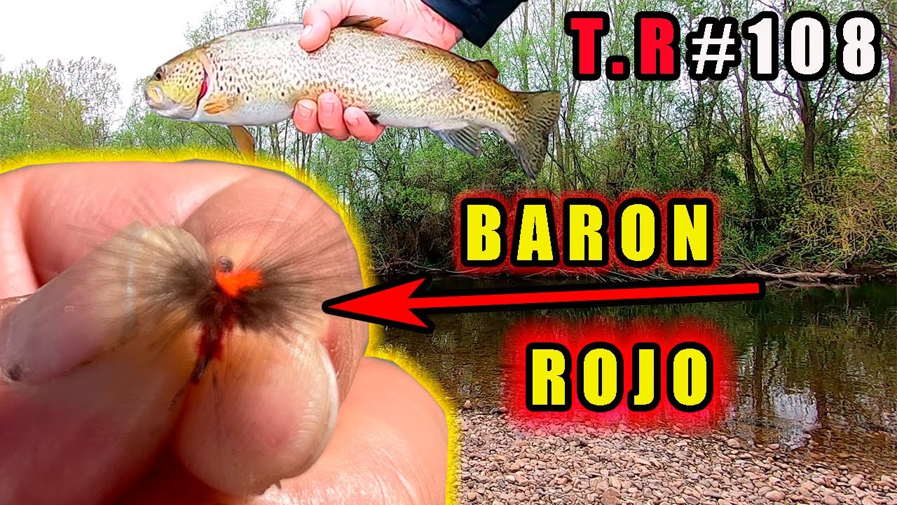 👉PESCANDO TRUCHAS EN LEON (TRUCHAS A MOSCA SECA)🦟