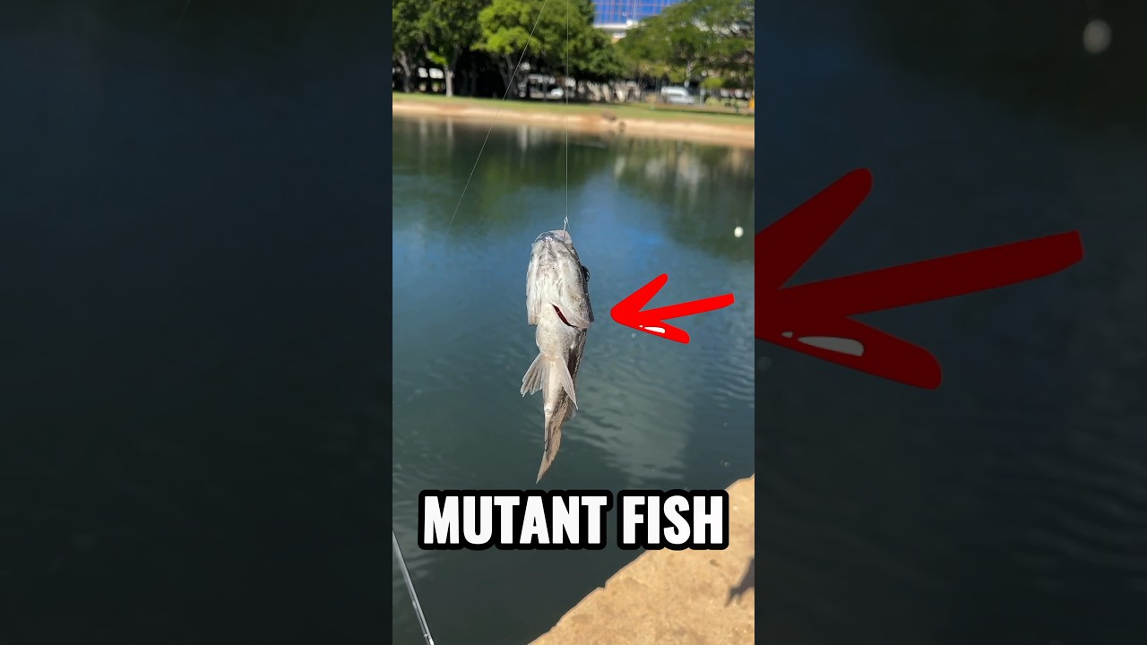 You won’t believe what’s in this water 😳 