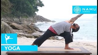 Posicao de yoga - angulo lateral estendido Andre Meyer