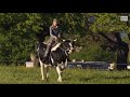 La femme qui chuchotait à l’oreille des vaches