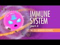 Immune System, Part 3: Crash Course A&P #47