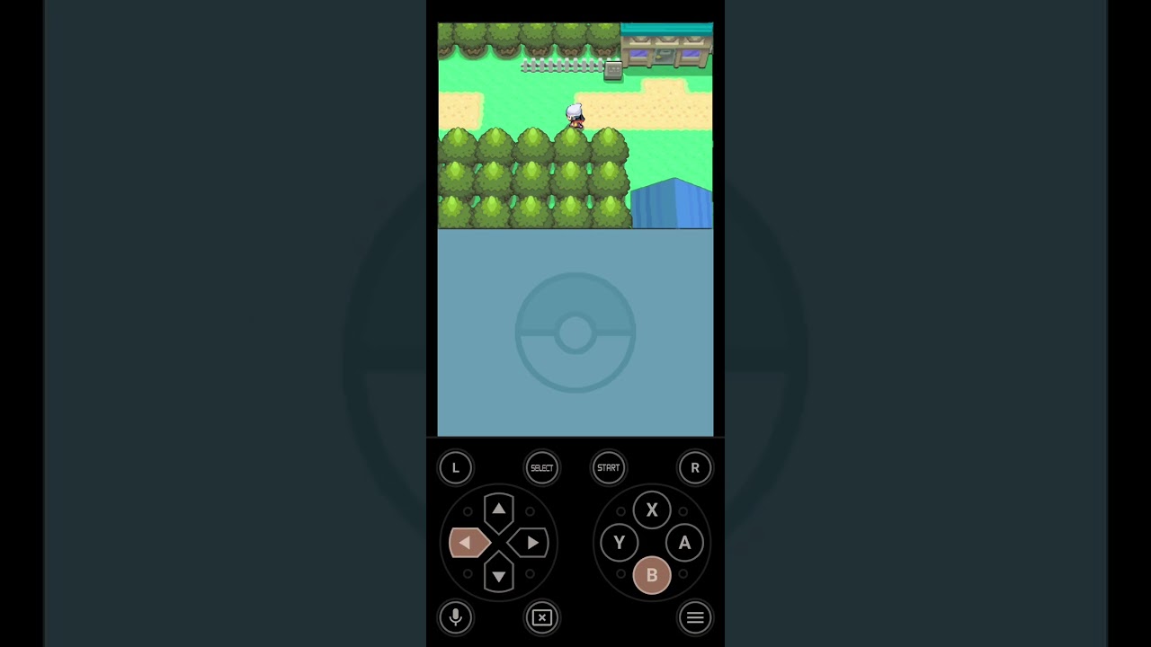 포켓몬스터 디아루가 1화 너로 정했다 불꽃숭이!!!!!