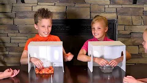 Twin Boys vs Twin Girls WHAT'S IN THE BOX CHALLENGE! Ninja Kidz TV and Kids Fun TV Together!