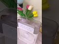 Video Image