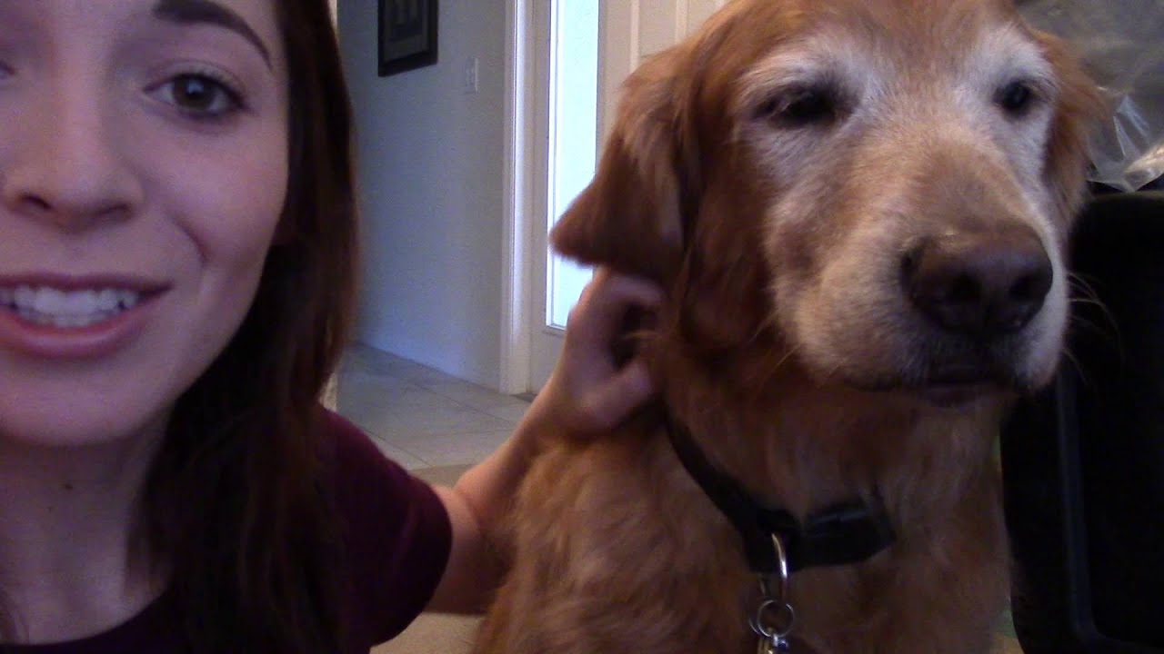 ASMR What's In My Ipsy Glambag? Ft...Jack?