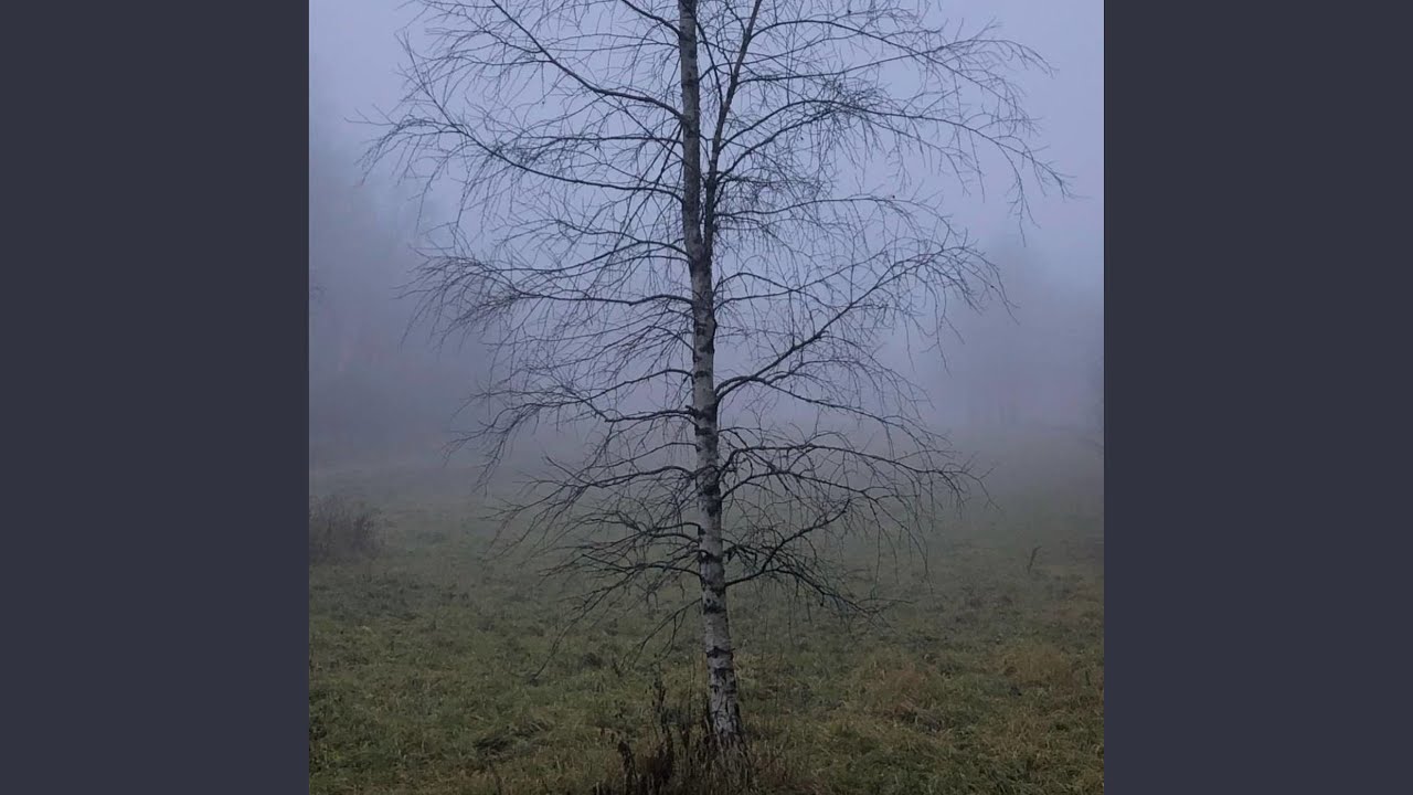 Watch SECAM on YouTube Watch SECAM on YouTube