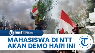 Mahasiswa di NTT dari 7 Perguruan Tinggi akan Melakukan Demo ke DPRD, Bawa 3 Tuntutan