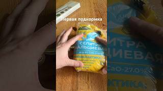 Первая подкормка рассады кальциевой селитрой #томаты #перцы #деревня #жизньзагородом #дача #дом