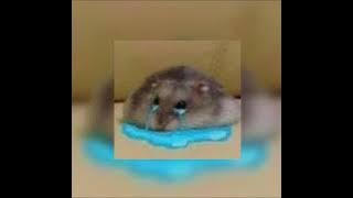 Queen - Bohemian Rhapsody (sped up)