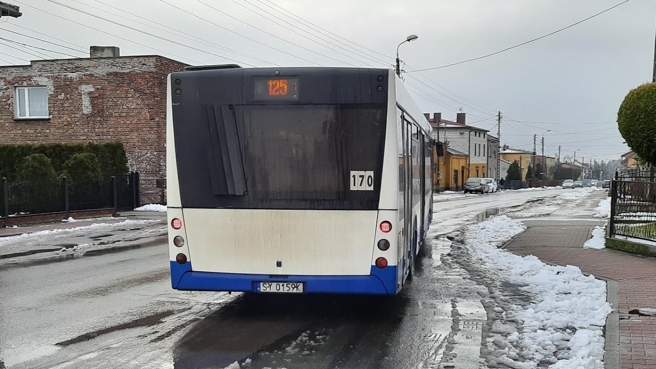 MAZ 203.067 #170 @Pawelec Biechów [🚌125 ➡️Sarnów Główna]