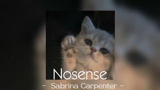 Nosense - Sabrina Carpenter [ Speed up - Lyrics ]