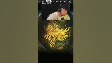 Welcome to Lighthouse...😒 #escapefromtarkov  #tarkov  #eft