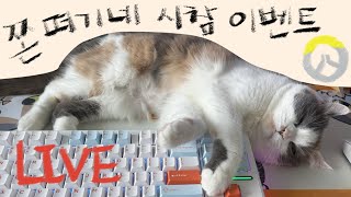 제 1회 술떡 vs 호떡 부부싸움에 찰떡님들 등 터지기 feat. 오버워치