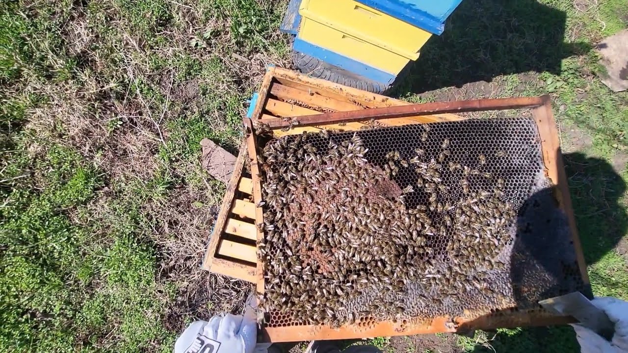 Стартиране на пролетно развитие!