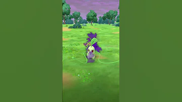 Is Chikorita Being Silly Notmymusic Green 