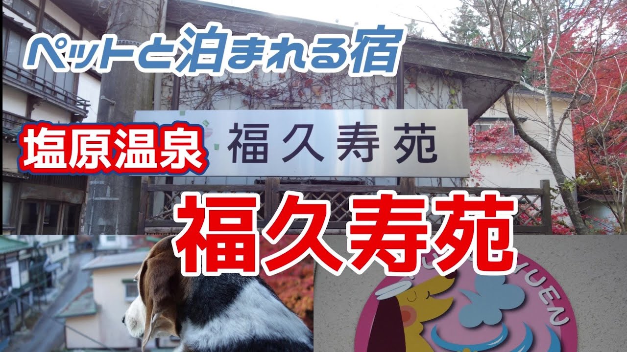 【塩原】お犬と一緒に普通の温泉旅館に泊まってビール飲み放題と温泉を満喫してきた【ペット】