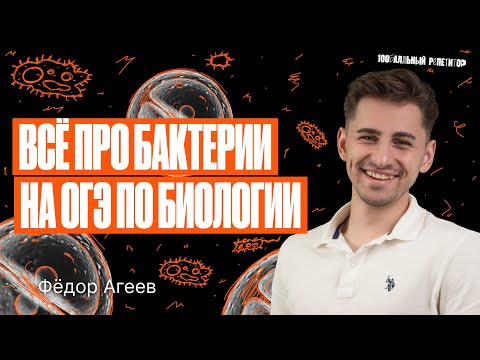 Все про бактерии на ОГЭ по биологии | Федор Агеев