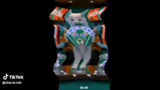 Preview 1280 Kitten Goes Poppy For Popcorn