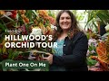 Tour ORCHID CONSERVATORY at Hillwood Estate — Ep. 367