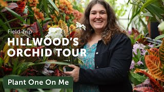 Tour ORCHID CONSERVATORY at Hillwood Estate — Ep. 367 by Summer Rayne Oakes 22,080 views 1 month ago 21 minutes