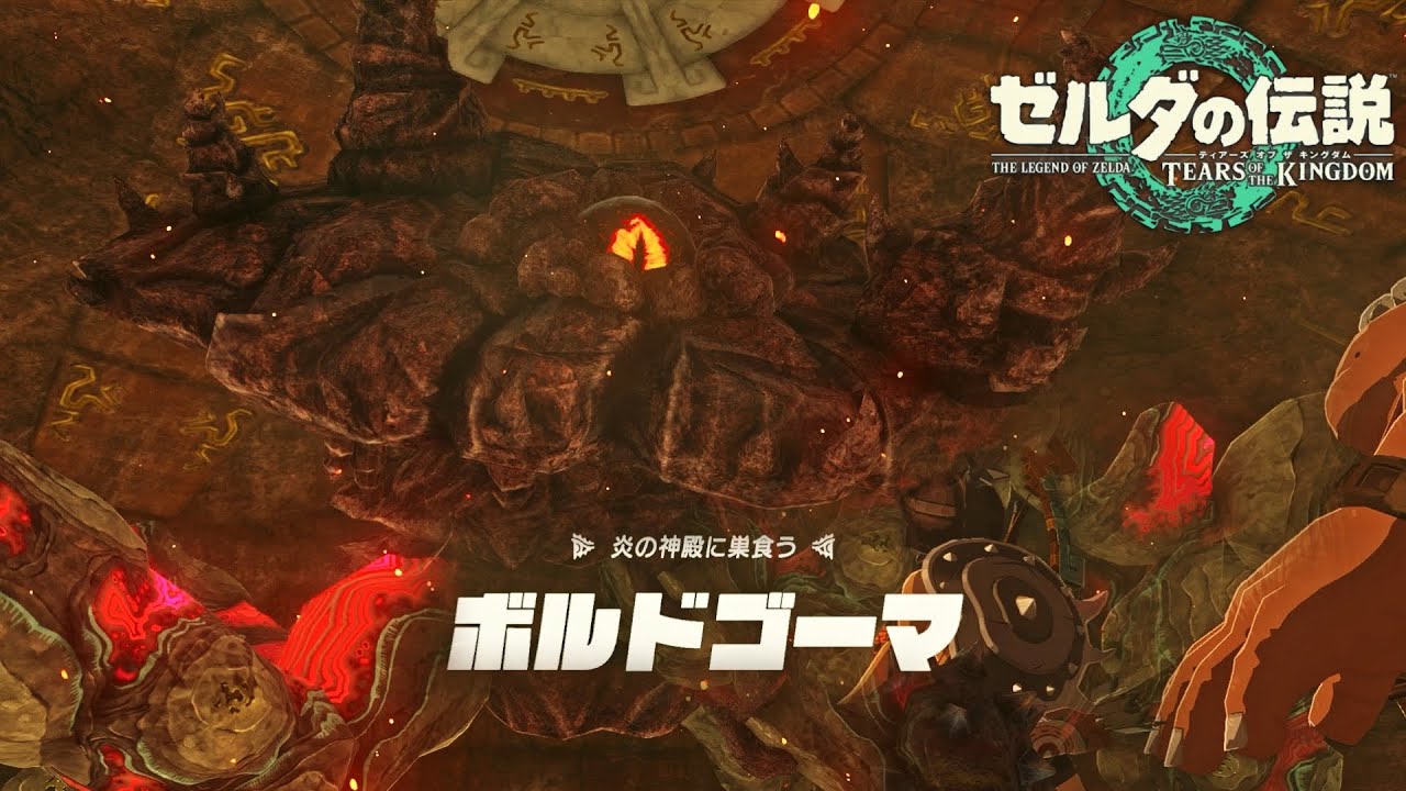 ゼ、ゼルダ様ーーーッ！？！！？【ゼルダの伝説 ティアーズ オブ ザ キングダム】#43