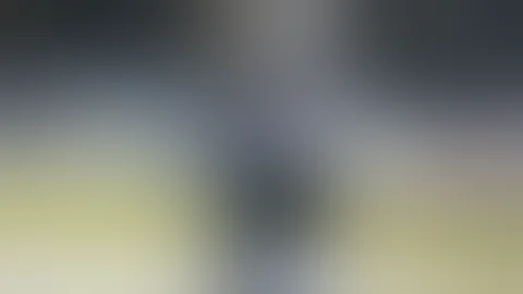 Hockeyfighters.cz  Dennis Bonvie vs Jay Rosehill .wmv