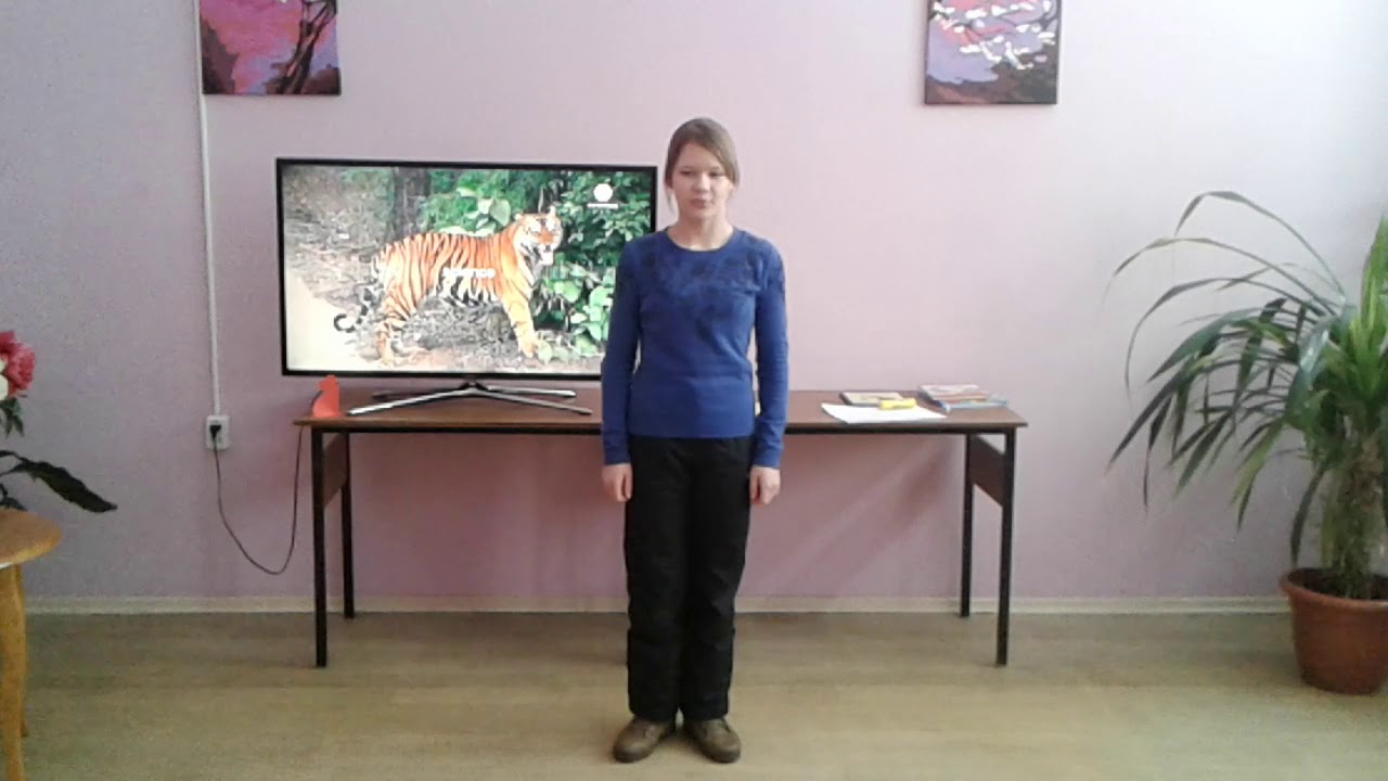 Андреева Лиза читает стихи