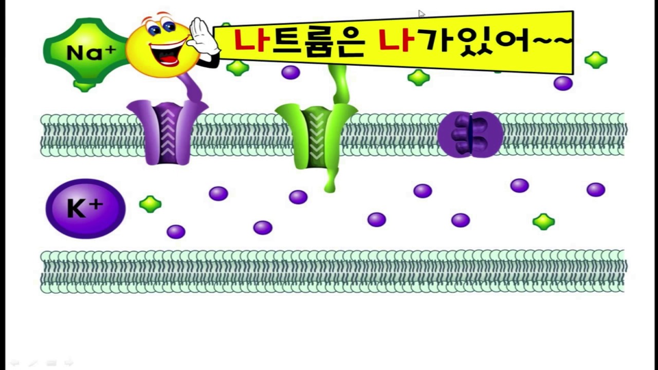 [생명과학1 ] 3단원 2차시- 흥분의 전도 - 나트륨 칼륨 통로, 나트륨 칼륨 펌프 차이, 확산, 삼투, 능동수송의 차이 ...