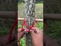 Gardens easy knots but strong life hack!