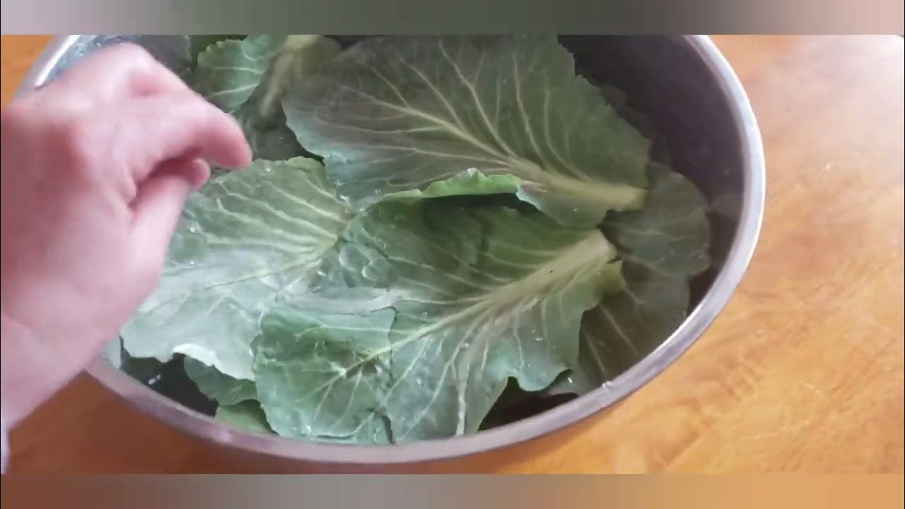 Cabbage Rolls Recipe (a way to use up the outer leaves of cabbages) 