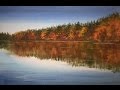 Рисуем Елки, Отражения акварелью.Осень в Швеции.  Autumn in Sweden- Reflections, watercolour