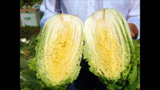 What's Growin On at Baloian Farm NOV 3