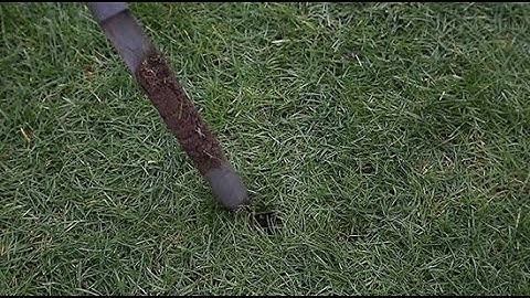 Lawn Soil Sample Analysis & Quality Testing - Lawn Master