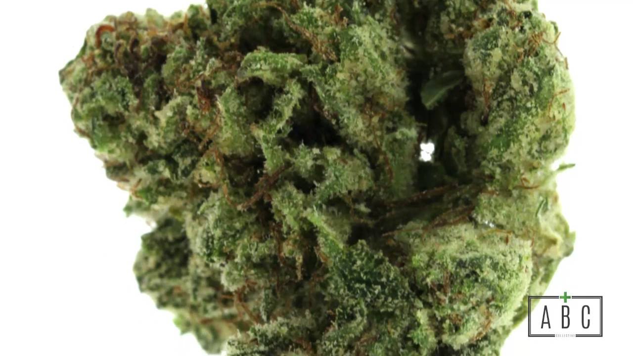 Tahoe OG Kush - ABC Collective