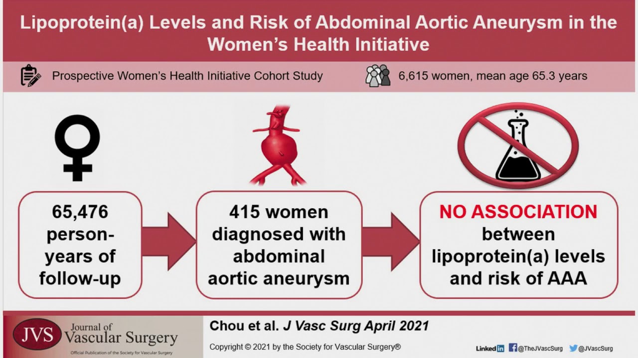 ƒfƒbƒyƒj Oze Z ƒeƒ ƒvƒœ ƒg 312598