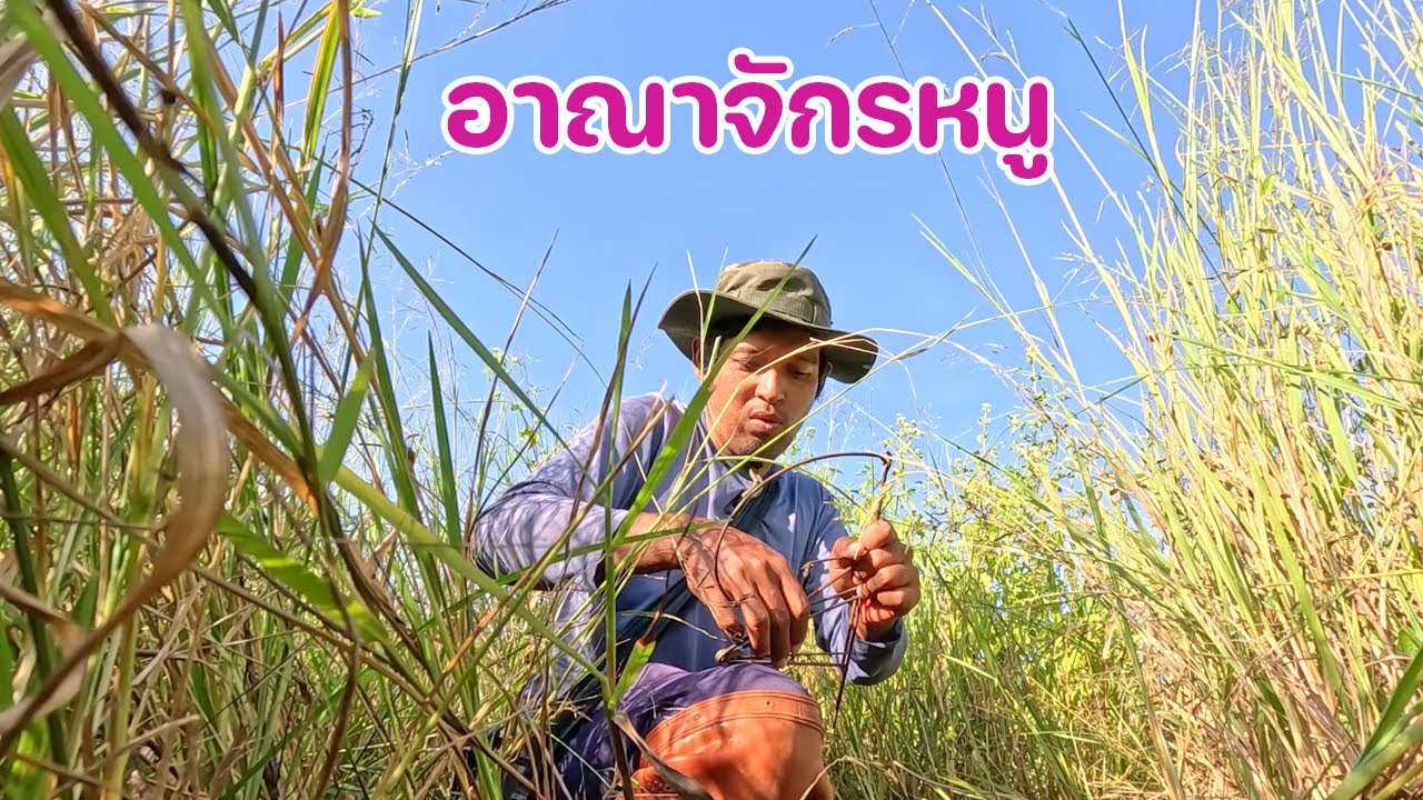 หาหนูกับทีมงาน วันนี้เจอแต่อาณาจักรหนู โอ้โห มาลุ้นกันครับ ว่าจะคักแค่ไหน