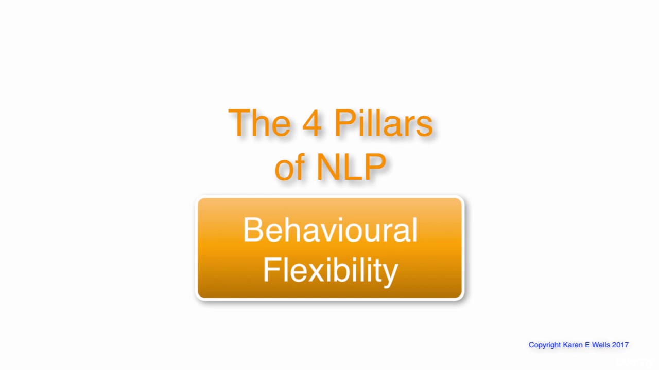 Professional Fully Accredited NLP Certification Course