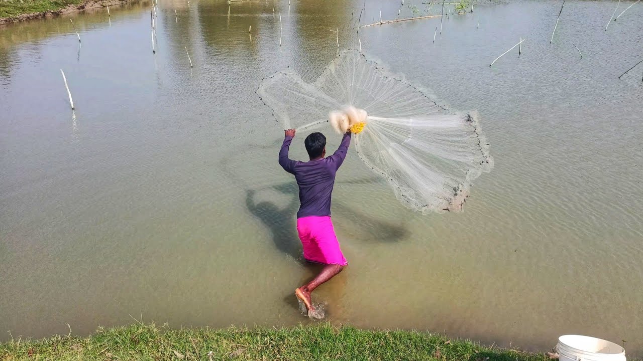 Amazing Cast Net Fishing In Heavy Rain - Unbelievable Catching Fishing ...